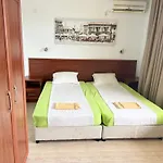 теодора ツァレヴォ