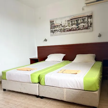 теодора Guest house 2*